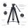 Tripod Video Diat DT 750 